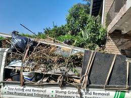 Best Scrap Metal Removal  in Ddanelle, AR